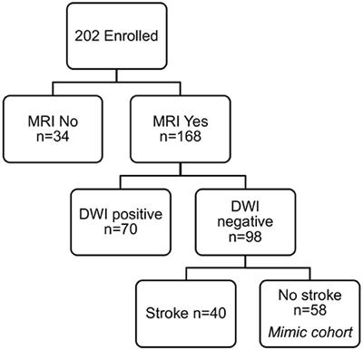 Plasma Lipid Profiling Identifies Biomarkers of Cerebral Microvascular Disease